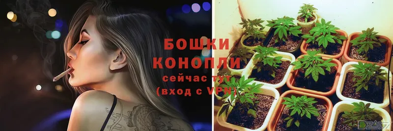 Бошки марихуана LSD WEED  даркнет сайт  Весьегонск 